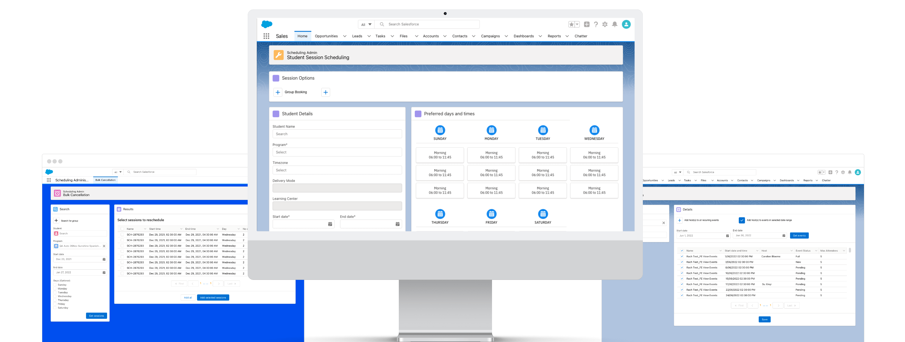 Berlitz Salesforce